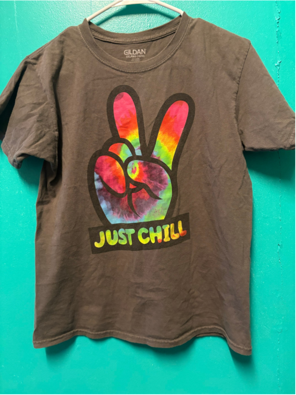 Boys Gildan Short Sleeve Tee XXL Grey Multicolor Just Chill